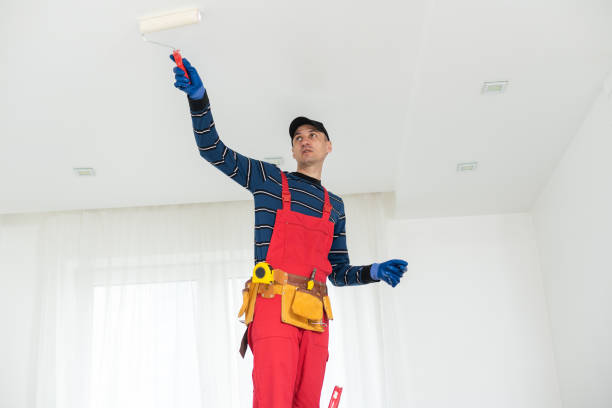 Trusted Woodfield, SC Drywall and Painting Service Experts